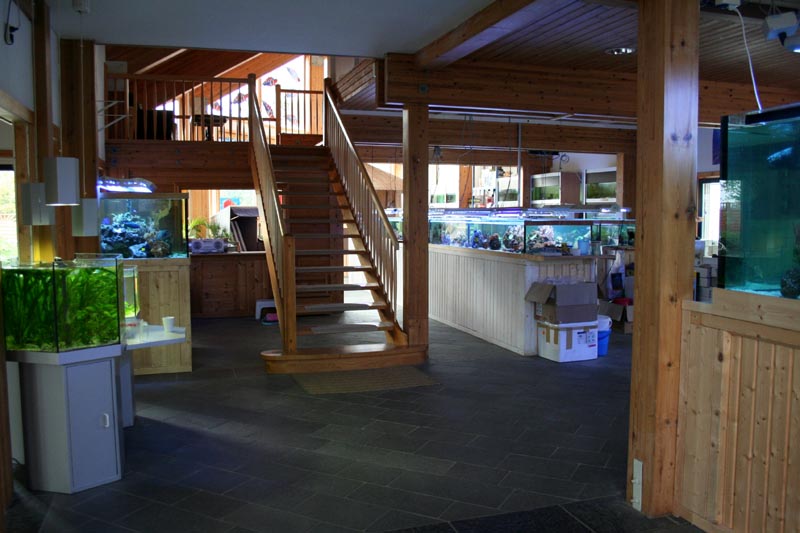 Killikus&reg; Fotographie